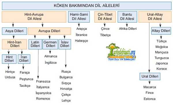 Köken Bakımından Dil Aileleri