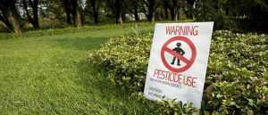 pestisitin zararlari nelerdir