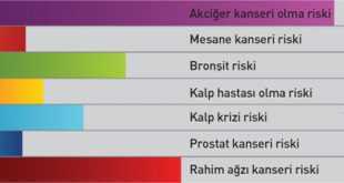 Sigaranın Zararları nelerdir