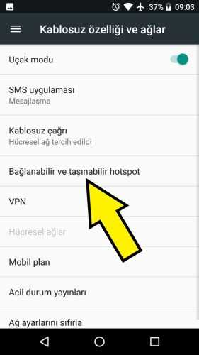 Vestel internet paylaşımı