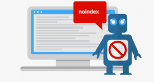 Gönderilen URL “noindex” İşaretli Hatası