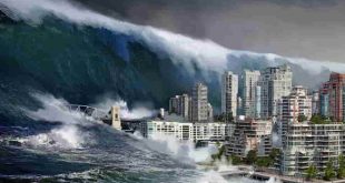 Tsunami nedir