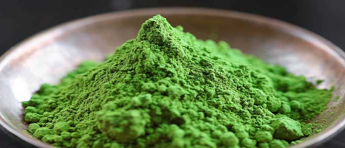 Matcha Çayı Nedir?