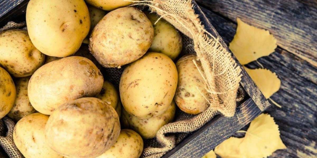 Patates Tüketiminde Nelere Dikkat Etmeliyiz?